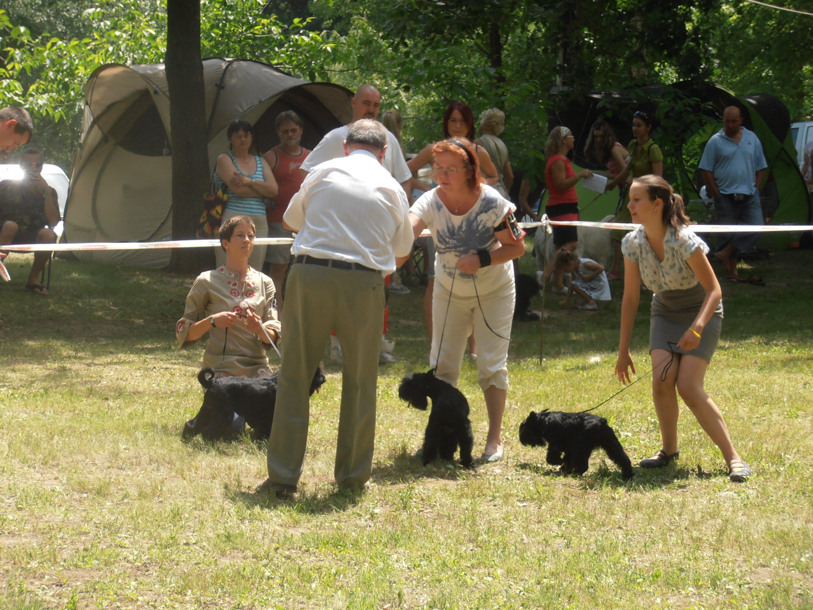 Felhasználói képek / 2012.06.08._077.jpg